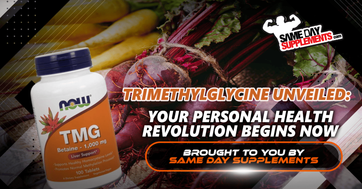 Ultimate Review & Guide 2023