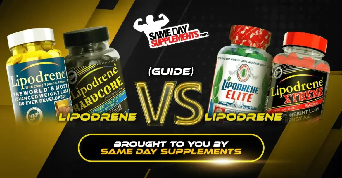 Lipodrene Vs Lipodrene (What to know in 2024)
