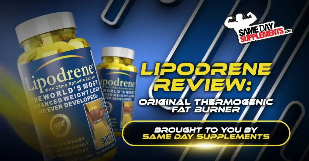 Original Thermogenic Fat Burner (2024)
