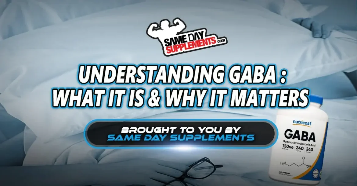 Understanding GABA (What It Is And Why It Matters Today)
