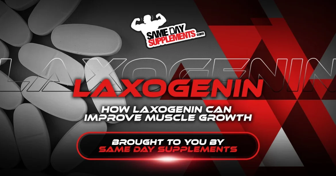 How Laxogenin Can Improve Muscle Growth