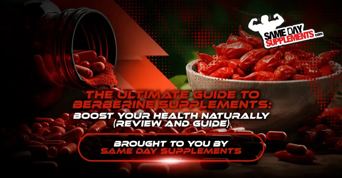 The Ultimate Guide to Berberine Supplements (Review 2024)