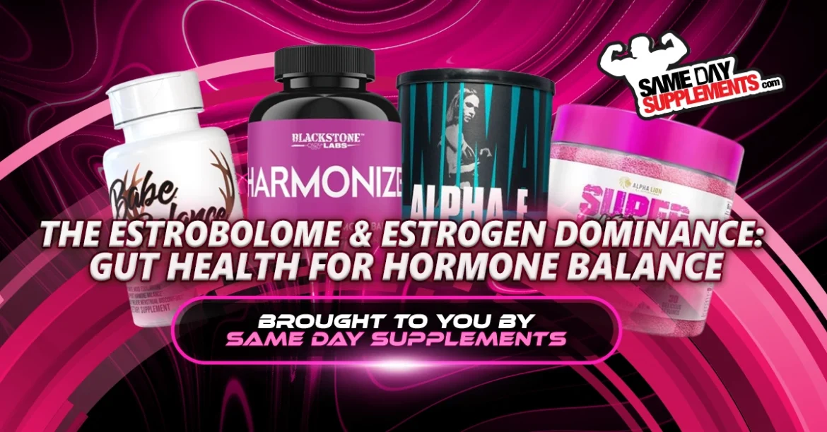 Supplements to Support the Estrobolome & Estrogen Dominance
